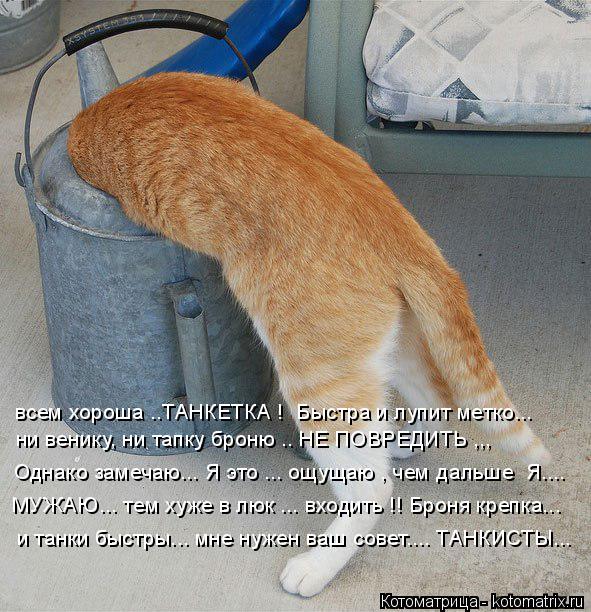 всем хороша ..ТАНКЕТКА ! Быстра и лупит метко... ни венику, ни тапку броню .. НЕ ПОВРЕДИТЬ ,,, Однак... Котоматрица: всем хороша ..ТАНКЕТКА ! Быстра и лупит метко... ни венику, ни тапку броню .. НЕ ПОВРЕДИТЬ ,,, Однако замечаю... Я это ... ощущаю , чем дальше Я.... МУ