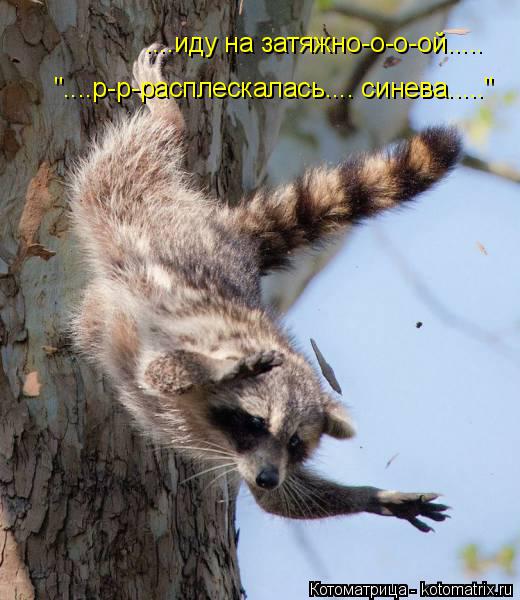 ....иду на затяжно-о-о-ой..... "....р-р-расплескалась.... синева....."... Котоматрица: ....иду на затяжно-о-о-ой..... "....р-р-расплескалась.... синева....."