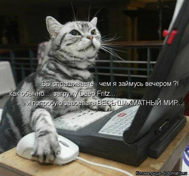 ..Вы спрашиваете.. чем я займусь вечером ?! ..как обычно.... загружу Deep Fritz... .. и попробую зав... Котоматрица: ..Вы спрашиваете.. чем я займусь вечером ?! ..как обычно.... загружу Deep Fritz... .. и попробую завоевать ВЕСЬ ШАХМАТНЫЙ МИР....