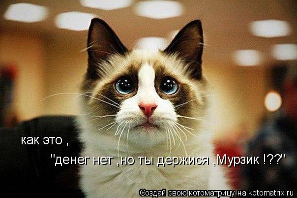 Котоматрица: как это , "денег нет ,но ты держися ,Мурзик !??"