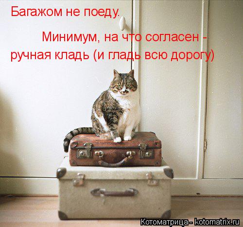 Багажом не поеду. Минимум, на что согласен - ручная кладь (и гладь всю дорогу)... Котоматрица: Багажом не поеду. Минимум, на что согласен - ручная кладь (и гладь всю дорогу)