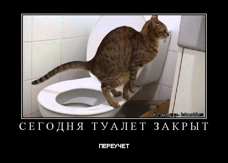 СЕГОДНЯ ТУАЛЕТ ЗАКРЫТ ПЕРЕУЧЕТ... Котоматрица: СЕГОДНЯ ТУАЛЕТ ЗАКРЫТ ПЕРЕУЧЕТ