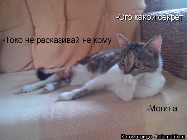 -Ого какой секрет -Токо не расказивай не кому -Могила... Котоматрица: -Ого какой секрет -Токо не расказивай не кому -Могила