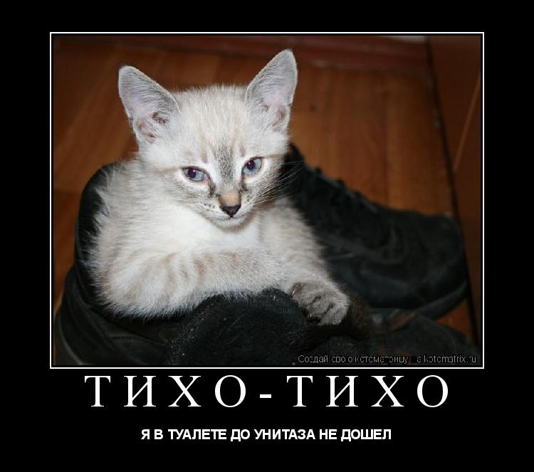 ТИХО-ТИХО Я В ТУАЛЕТЕ ДО УНИТАЗА НЕ ДОШЕЛ... Котоматрица: ТИХО-ТИХО Я В ТУАЛЕТЕ ДО УНИТАЗА НЕ ДОШЕЛ