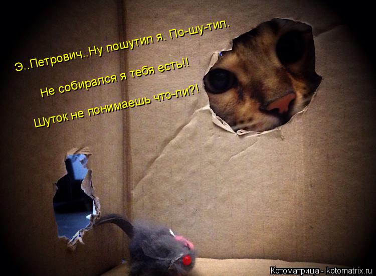 Э..Петрович..Ну пошутил я. По-шу-тил. Не собирался я тебя есть!! Шуток не понимаешь что-ли?!... Котоматрица: Э..Петрович..Ну пошутил я. По-шу-тил. Не собирался я тебя есть!! Шуток не понимаешь что-ли?!