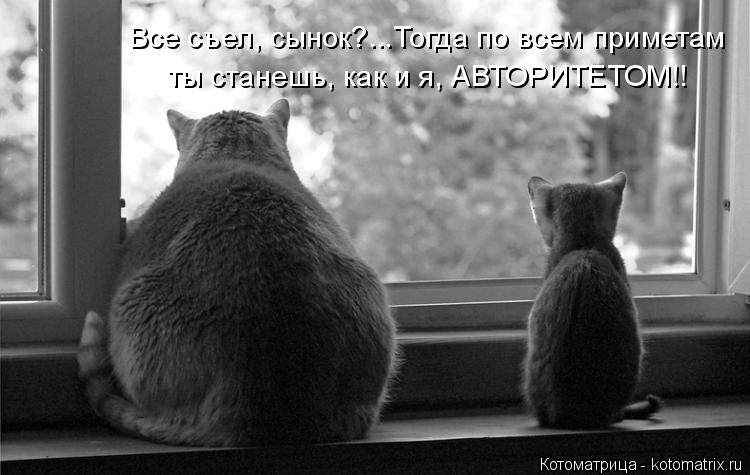 Все съел, сынок?...Тогда по всем приметам ты станешь, как и я, АВТОРИТЕТОМ!!... Котоматрица: Все съел, сынок?...Тогда по всем приметам ты станешь, как и я, АВТОРИТЕТОМ!!