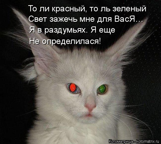 То ли красный, то ль зеленый Свет зажечь мне для ВасЯ… Я в раздумьях. Я еще Не определилася!... Котоматрица: То ли красный, то ль зеленый Свет зажечь мне для ВасЯ… Я в раздумьях. Я еще Не определилася!
