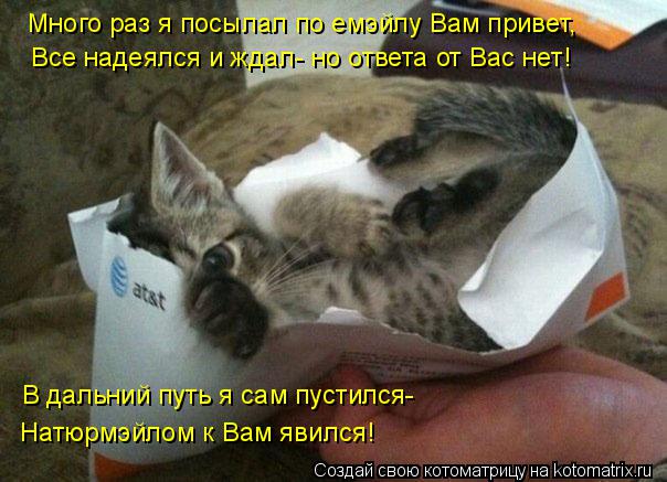 Много раз я посылал по емэйлу Вам привет, Все надеялся и ждал- но ответа от Вас нет! В дальний путь я... Котоматрица: Много раз я посылал по емэйлу Вам привет, Все надеялся и ждал- но ответа от Вас нет! В дальний путь я сам пустился- Натюрмэйлом к Вам явился!