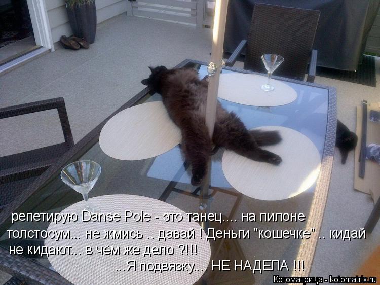 репетирую Danse Pole - это танец.... на пилоне толстосум... не жмись .. давай ! Деньги "кошечке" .. к... Котоматрица: репетирую Danse Pole - это танец.... на пилоне толстосум... не жмись .. давай ! Деньги "кошечке" .. кидай не кидают... в чём же дело ?!!! ...Я подвязку.... НЕ Н