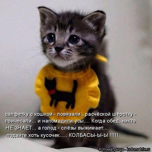 салфетку с кошкой - повязали...расчёской шёрстку - причесали... и напомадили усы.... Когда обед, ник... Котоматрица: салфетку с кошкой - повязали...расчёской шёрстку - причесали... и напомадили усы.... Когда обед, никто НЕ ЗНАЕТ... а голод - слёзы выжимает... пода