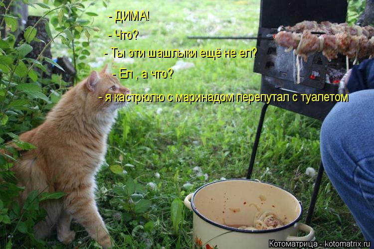 - ДИМА! - Что? - Ты эти шашлыки ещё не ел? - Ел , а что? - я кастрюлю с маринадом перепутал с туалето... Котоматрица: - ДИМА! - Что? - Ты эти шашлыки ещё не ел? - Ел , а что? - я кастрюлю с маринадом перепутал с туалетом