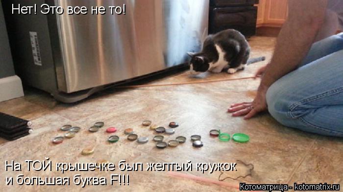 Нет! Это все не то! На ТОЙ крышечке был желтый кружок и большая буква F!!!... Котоматрица: Нет! Это все не то! На ТОЙ крышечке был желтый кружок и большая буква F!!!