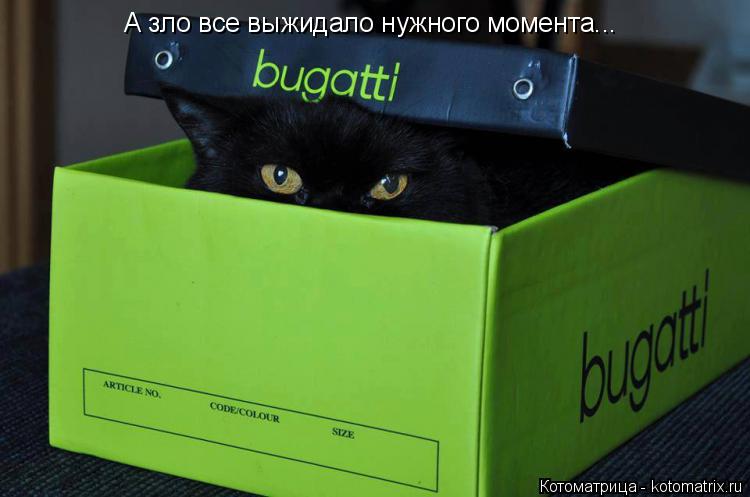 А зло все выжидало нужного момента...... Котоматрица: А зло все выжидало нужного момента...