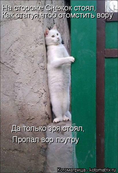 На стороже Снежок стоял, Да только зря стоял, Пропал вор поутру Как статуя,чтоб отомстить вору... Котоматрица: На стороже Снежок стоял, Да только зря стоял, Пропал вор поутру Как статуя,чтоб отомстить вору