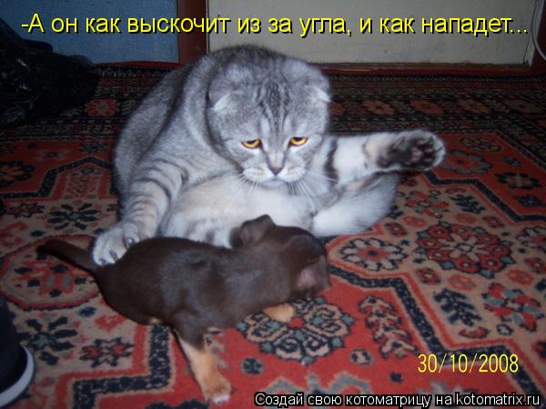 -А он как выскочит из за угла, и как нападет...... Котоматрица: -А он как выскочит из за угла, и как нападет...
