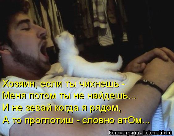 Хозяин, если ты чихнешь - Mеня потом ты не найдешь... И не зевай когда я рядом, А то проглотиш - слов... Котоматрица: Хозяин, если ты чихнешь - Mеня потом ты не найдешь... И не зевай когда я рядом, А то проглотиш - словно атОм...