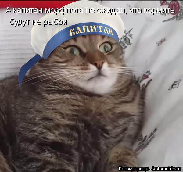 А капитан морфлота не ожидал, что кормить будут не рыбой будут не рыбой... Котоматрица: А капитан морфлота не ожидал, что кормить будут не рыбой будут не рыбой