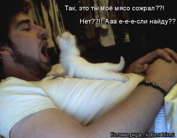 Так, это ты моё мясо сожрал??! Нет??!! Ааа е-е-е-сли найду?? "Чё-чё"...рот открой, говорю!!... Котоматрица: Так, это ты моё мясо сожрал??! Нет??!! Ааа е-е-е-сли найду?? "Чё-чё"...рот открой, говорю!!