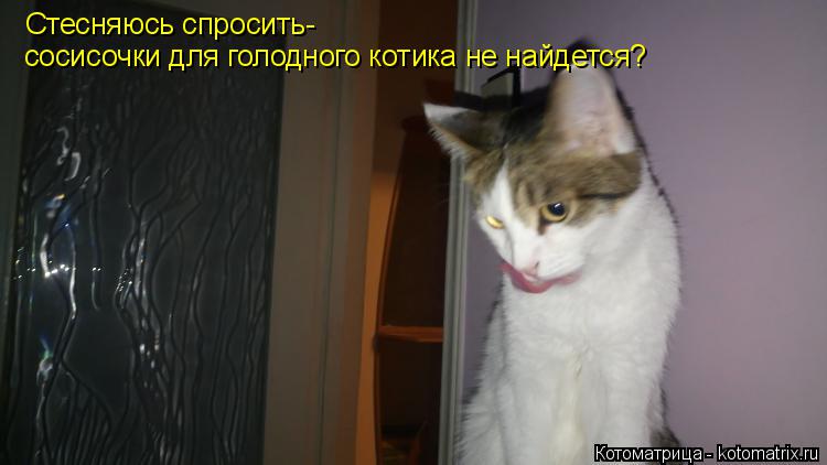 Стесняюсь спросить- сосисочки для голодного котика не найдется?... Котоматрица: Стесняюсь спросить- сосисочки для голодного котика не найдется?