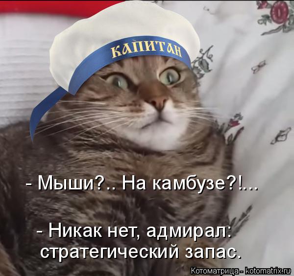 - Мыши?.. На камбузе?!... - Никак нет, адмирал: стратегический запас.... Котоматрица: - Мыши?.. На камбузе?!... - Никак нет, адмирал: стратегический запас.