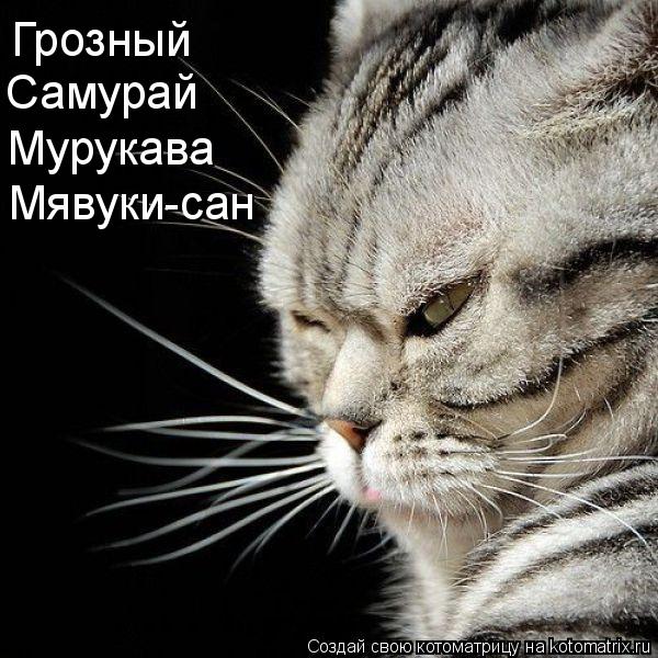 Мявуки-сан Мурукава Самурай Грозный... Котоматрица: Мявуки-сан Мурукава Самурай Грозный