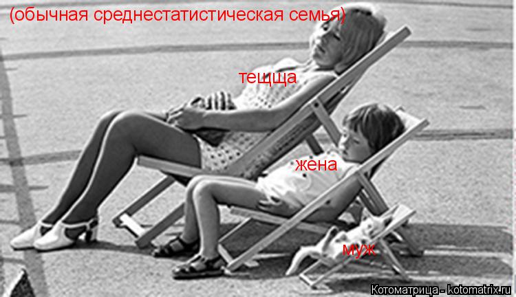 (обычная среднестатистическая семья) тещща жена муж... Котоматрица: (обычная среднестатистическая семья) тещща жена муж