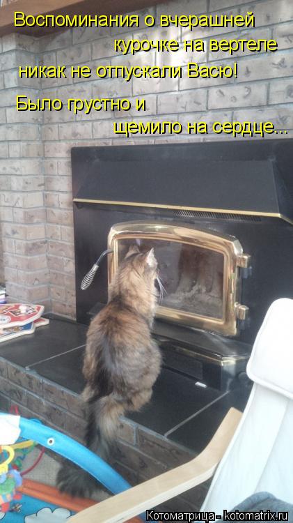 Воспоминания о вчерашней курочке на вертеле никак не отпускали Васю! Было грустно и щемило на сердц... Котоматрица: Воспоминания о вчерашней курочке на вертеле никак не отпускали Васю! Было грустно и щемило на сердце...