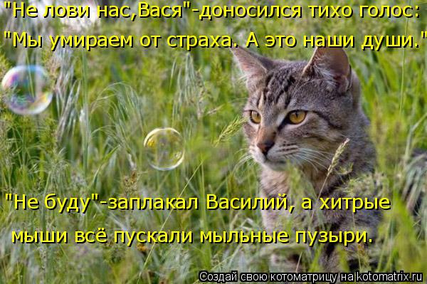 "Не лови нас,Вася"-доносился тихо голос: "Мы умираем от страха. А это наши души." "Не буду"-заплакал ... Котоматрица: "Не лови нас,Вася"-доносился тихо голос: "Мы умираем от страха. А это наши души." "Не буду"-заплакал Василий, а хитрые мыши всё пускали мыльные п