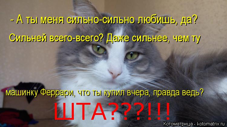 - А ты меня сильно-сильно любишь, да? Сильней всего-всего? Даже сильнее, чем ту машинку Феррари, что ... Котоматрица: - А ты меня сильно-сильно любишь, да? Сильней всего-всего? Даже сильнее, чем ту машинку Феррари, что ты купил вчера, правда ведь? ШТА???!!!