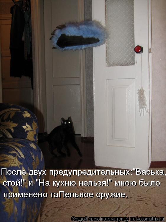 После двух предупредительных:"Васька, стой!" и "На кухню нельзя!" мною было применено таПельное оружи... Котоматрица: После двух предупредительных:"Васька, стой!" и "На кухню нельзя!" мною было применено таПельное оружие.