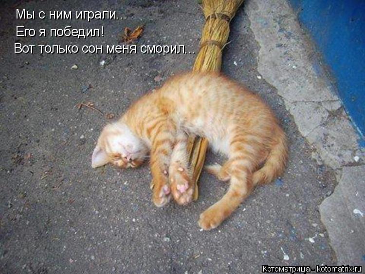 Котоматрица: Мы с ним играли... Его я победил! Вот только сон меня сморил...