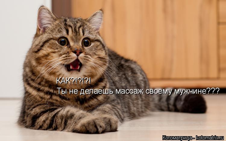 Котоматрица: КАК?!?!?! Ты не делаешь массаж своему мужчине???