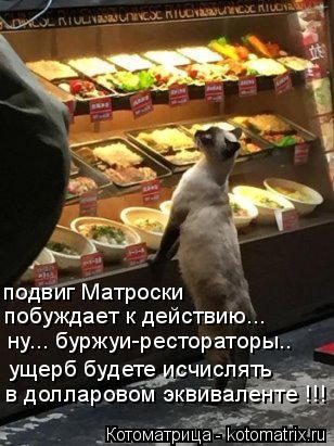 Котоматрица: подвиг Матроски побуждает к действию... ну... буржуи-рестораторы.. ущерб будете исчислять в долларовом эквиваленте !!!