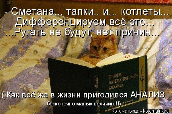 Котоматрица: - Сметана... тапки.. и... котлеты... ( Как всё же в жизни пригодился АНАЛИЗ бесконечно малых величин!!!) ...Ругать не будут, нет причин... Дифференцир