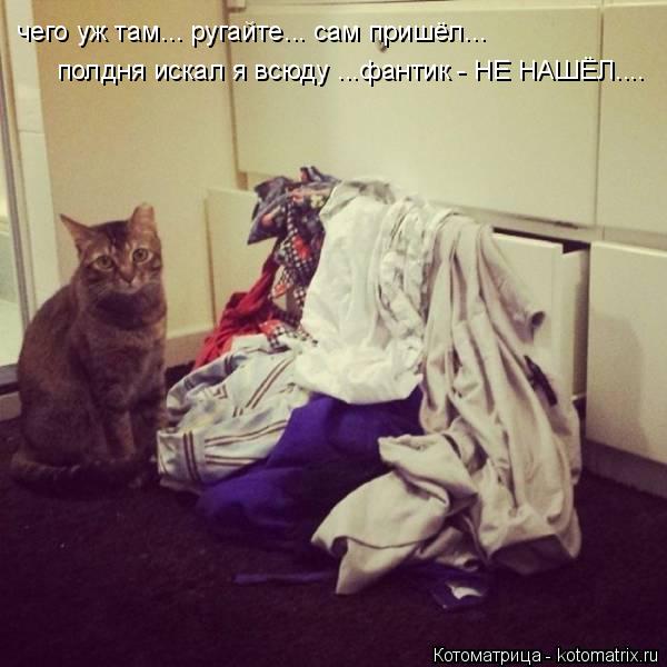 Котоматрица: чего уж там... ругайте... сам пришёл... полдня искал я всюду ...фантик - НЕ НАШЁЛ....