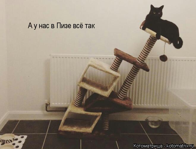 А у нас в Пизе всё так... Котоматрица: А у нас в Пизе всё так