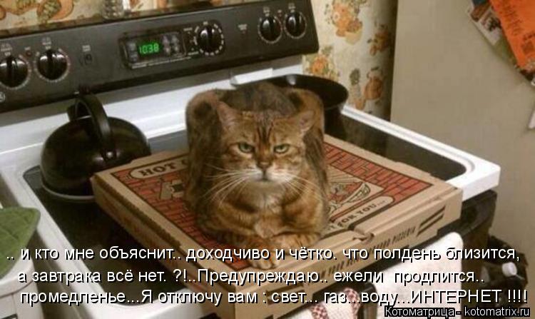 Котоматрица: .. и кто мне объяснит.. доходчиво и чётко. что полдень близится, а завтрака всё нет. ?!..Предупреждаю.. ежели  продлится.. промедленье...Я отключу 