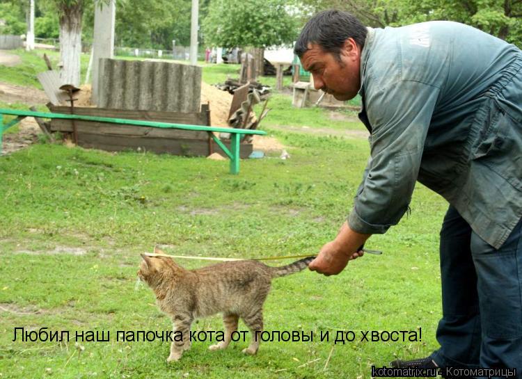 Котоматрица: Любил наш папочка кота от головы и до хвоста!