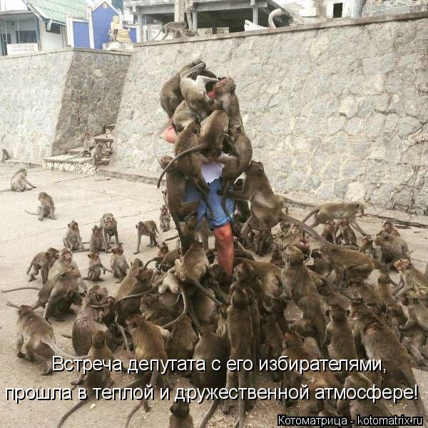 Встреча депутата с его избирателями, прошла в теплой и дружественной атмосфере!... Котоматрица: Встреча депутата с его избирателями, прошла в теплой и дружественной атмосфере!