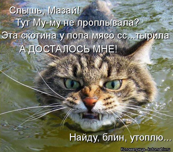 Котоматрица: Слышь, Мазай! Тут Му-му не проплывала? Эта скотина у попа мясо сс...тырила Найду, блин, утоплю... А ДОСТАЛОСЬ МНЕ!