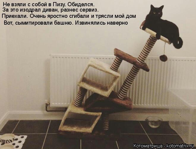 Котоматрица: Не взяли с собой в Пизу. Обиделся. За это изодрал диван, разнес сервиз. Приехали. Очень яростно сгибали и трясли мой дом Вот, сымитировали баш