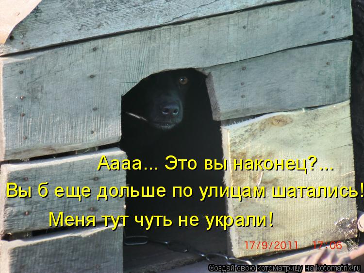 Котоматрица: Аааа... Это вы наконец?... Вы б еще дольше по улицам шатались! Меня тут чуть не украли!