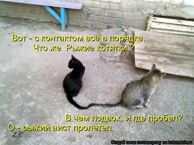 Котоматрица: Вот - с контактом всё в порядке. Что же  Рыжие котятки ? В чем подвох, и где пробел? О - рыжий аист пролетел.
