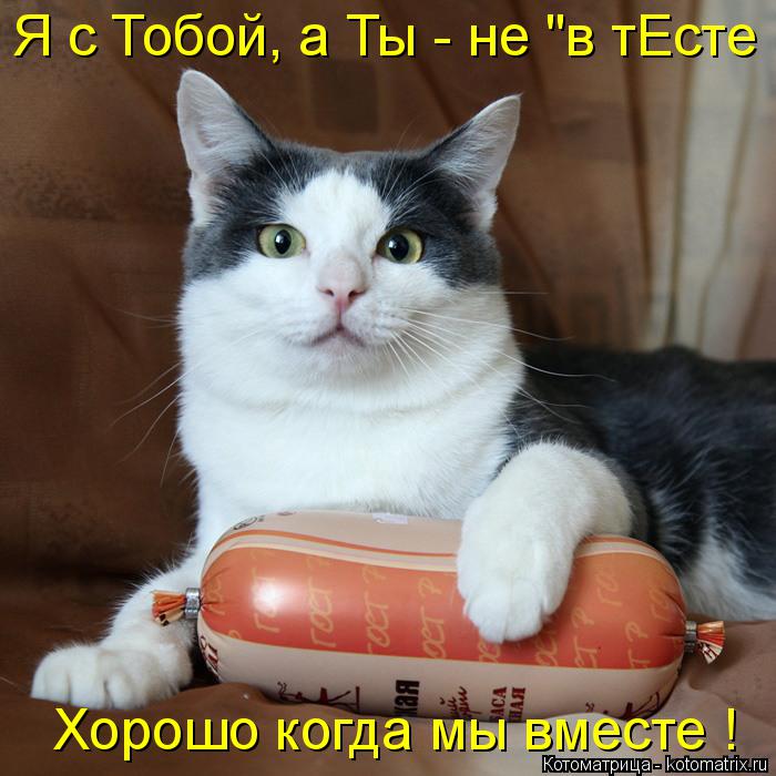 Котоматрица: Хорошо когда мы вместе ! Я с Тобой, а Ты - не "в тЕсте