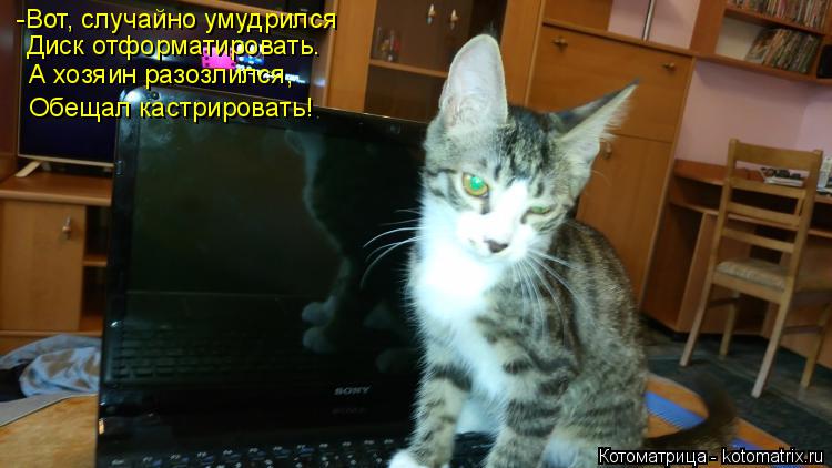 Котоматрица: -Вот, случайно умудрился Диск отформатировать. А хозяин разозлился, Обещал кастрировать!