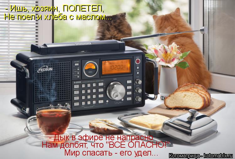 Котоматрица: Не поел и хлеба с маслом... Нам долбят, что "ВСЁ ОПАСНО!" Мир спасать - его удел...  - Ишь, хозяин, ПОЛЕТЕЛ, - Дык в эфире не напрасно