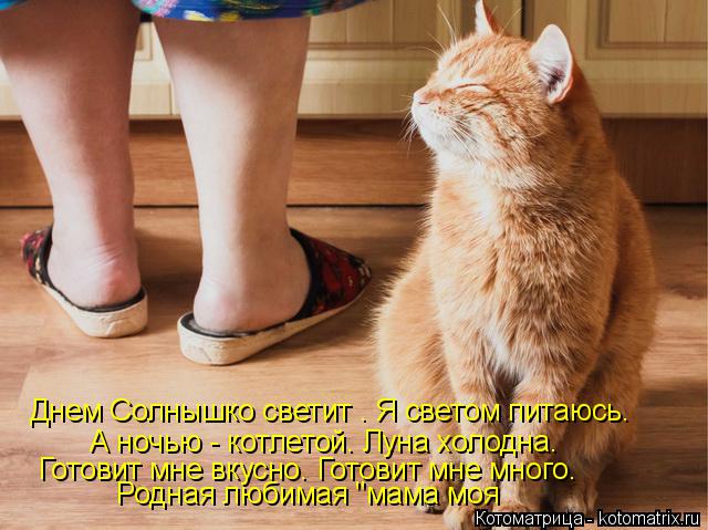 Котоматрица: Днем Солнышко светит . Я светом питаюсь. А ночью - котлетой. Луна холодна. Готовит мне вкусно. Готовит мне много. Родная любимая "мама моя