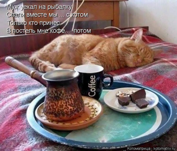 Муж уехал на рыбалку Спали вместе мы ... с котом Только кто принес В постель мне кофе... потом... Котоматрица: Муж уехал на рыбалку Спали вместе мы ... с котом Только кто принес В постель мне кофе... потом
