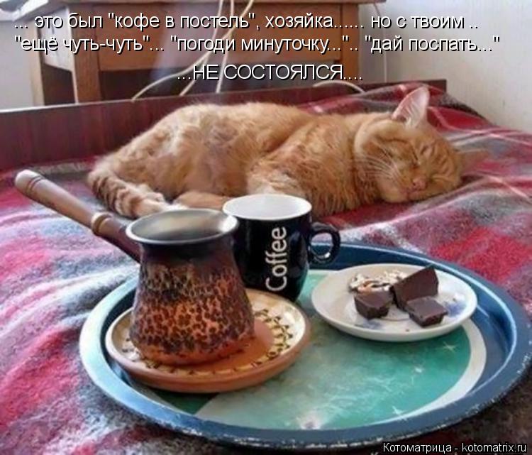 Котоматрица: ... это был "кофе в постель", хозяйка...... но с твоим ..  "ещё чуть-чуть"... "погоди минуточку...".. "дай поспать..."  ...НЕ СОСТОЯЛСЯ....