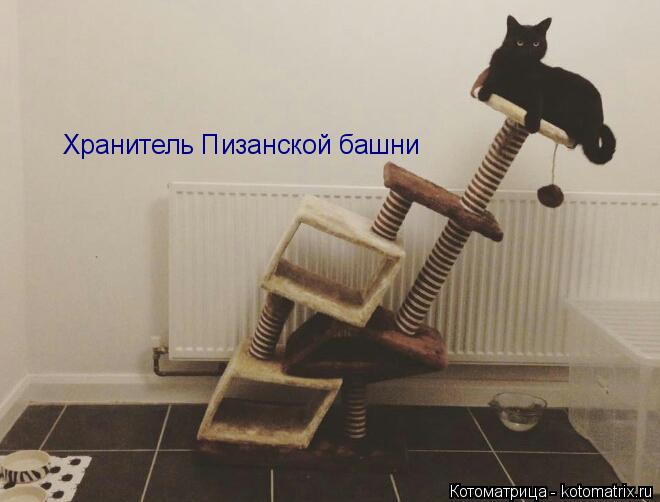 Котоматрица: Хранитель Пизанской башни